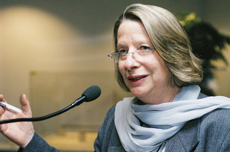 Photo 1 : The MEP EUrsula STENZEL during an exhibition in Brussels on March 18, 2002.