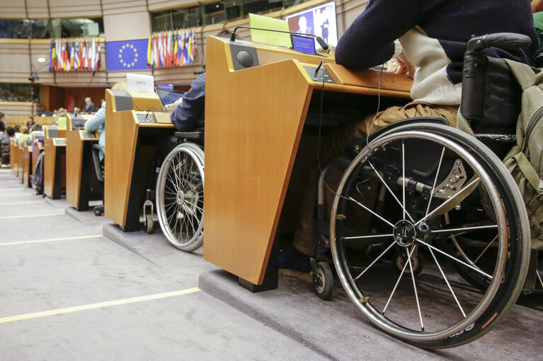 Photo 6: 4th European Parliament of Persons with Disabilities (EPPD) Forum