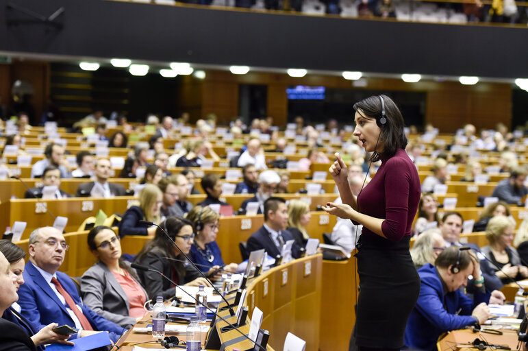 Foto 4: 4th European Parliament of Persons with Disabilities -European Disability Forum (EDF)- Human Rights for All: towards a European Disability Strategy 2020-2030 and inclusive EU budget