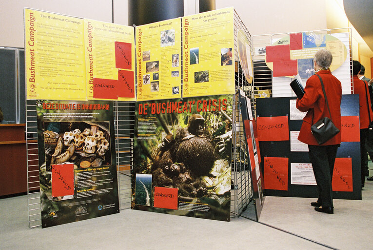 Снимка 5: Exhibition on Bushmeat