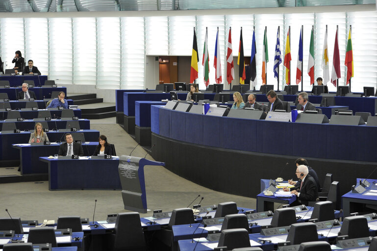 Fotografija 23: Plenary Session in Strasbourg. Week 14.