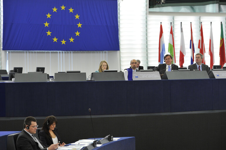 Fotografie 26: Plenary Session in Strasbourg. Week 14.