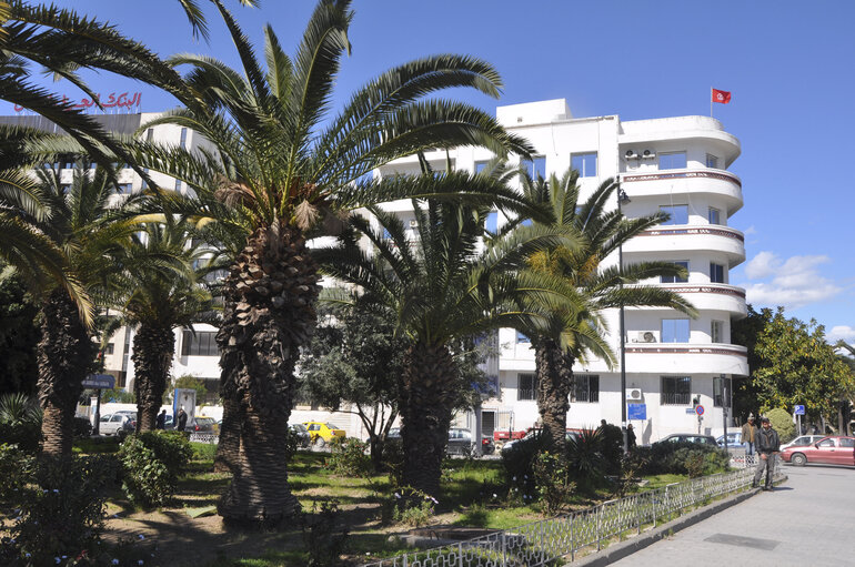 Streets of Tunis