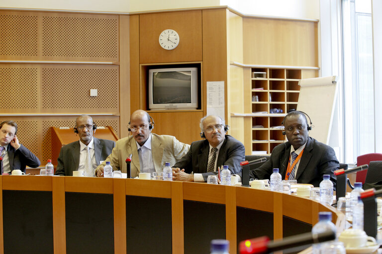 Foto 9: MEP Pier Antonio PANZERI meets with a delegation of of the National Assembly of Mauritania