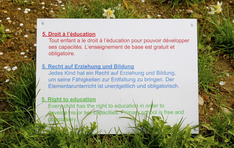 Billede 9: French German Garden of the Human Rights