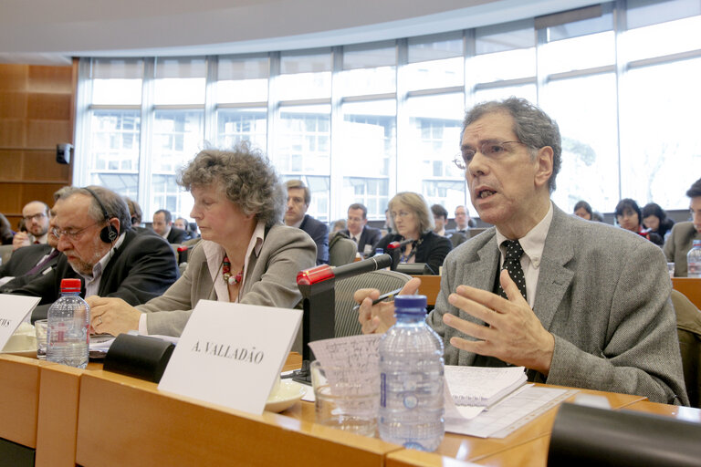 Photo 8 : INTA Committee - Public Hearing - Mercosur : Trade Perspectives of the Association Agreement