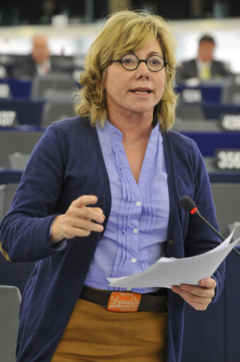 Plenary Session in Strasbourg. Week 14