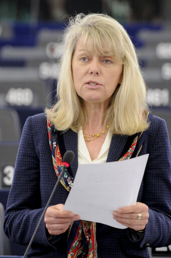 Fotografie 19: Debate on the EU Tomato import from Morocco. Plenary Session in Strasbourg. Week 14.