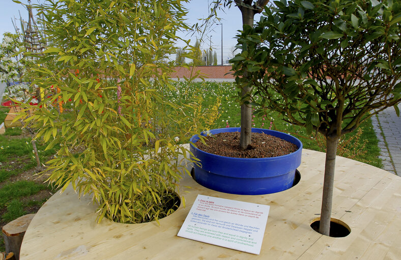 Billede 6: French German Garden of the Human Rights