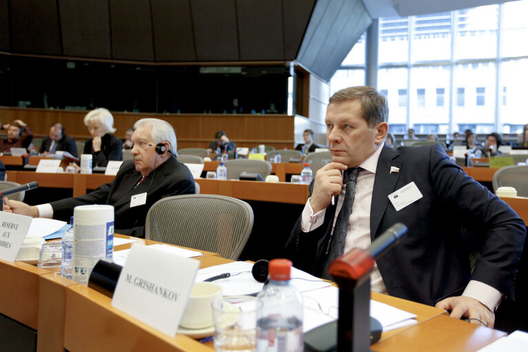 Снимка 8: EU-Russia PCC working group