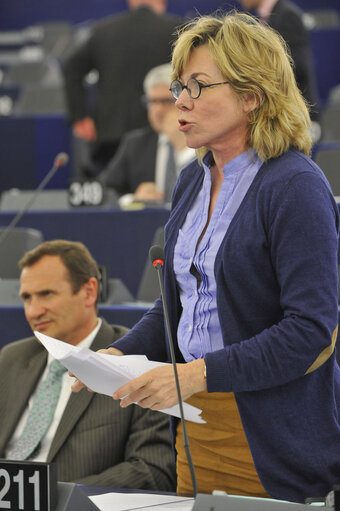 Plenary Session in Strasbourg. Week 14