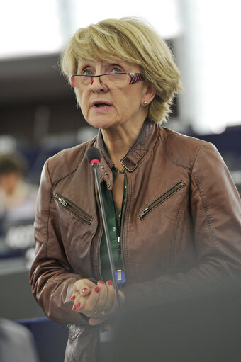 Foto 47: Plenary Session in Strasbourg. Week 14.