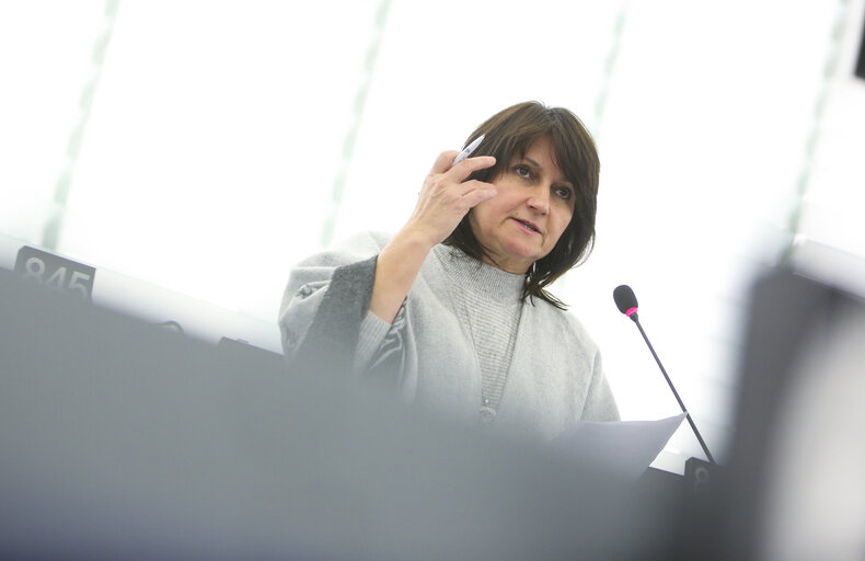 Fotografija 10: Plenary session Week 50 2017 in Strasbourg - Explanations of votes