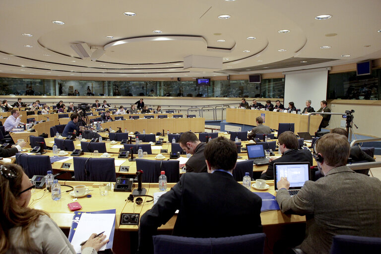 BUDG Committe meeting Halting Illegal, Unreported and Unregulated Fishing-The role of EU subsidies Chairing