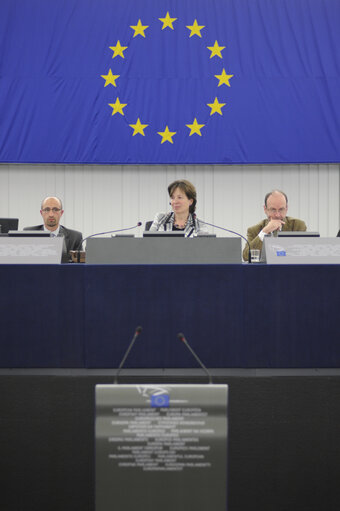 Photo 17 : Plenary Session in Strasbourg Week 14. Future of the EU Industry.