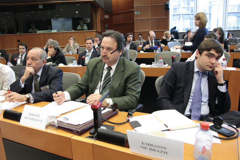 Nuotrauka 9: Public Hearing INTA - EU-Canada Trade relations