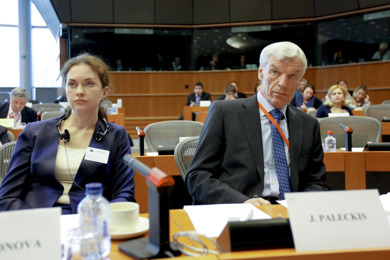 Снимка 13: EU-Russia PCC working group