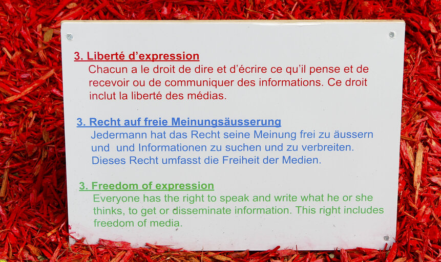 Billede 10: French German Garden of the Human Rights