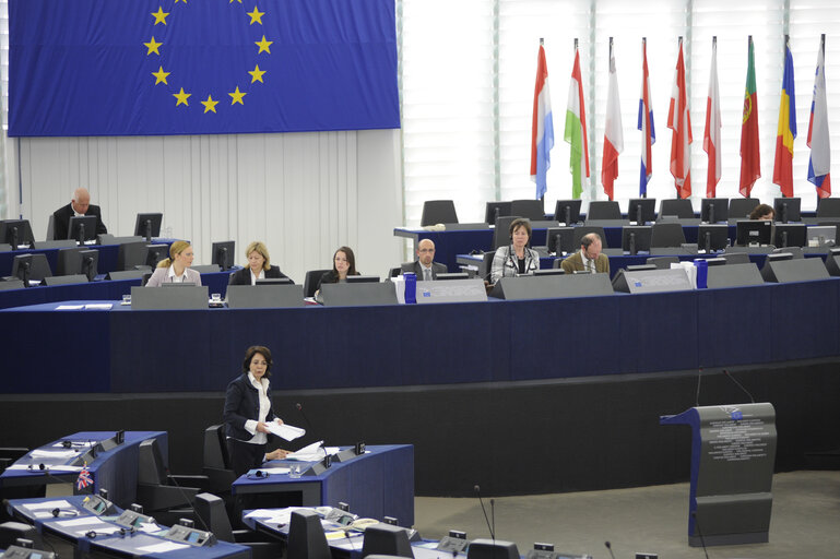 Plenary Session in Strasbourg Week 14. Future of the EU Industry.