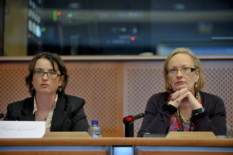 Public Hearing: What's bugging the bees.