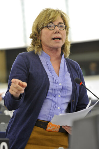Plenary Session in Strasbourg. Week 14