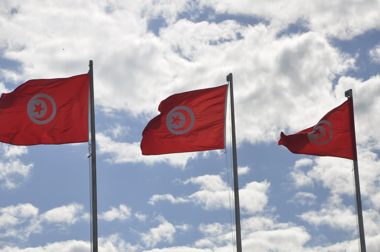 Fotagrafa 4: tunisian flags