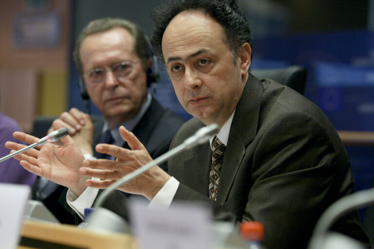 Foto 12: Committee on Foreign Affairs with Catherine ASHTON   Exchange of views with Hugues MINGARELLI, Managing Director for the Middle East and the Southern Neighbourhood, on the situation in Bahrain