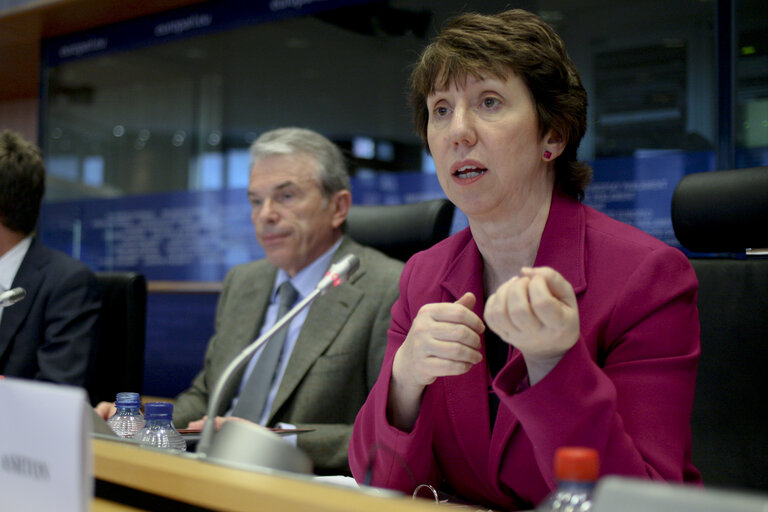 Foto 15: Committee on Foreign Affairs with Catherine ASHTON   Exchange of views with Hugues MINGARELLI, Managing Director for the Middle East and the Southern Neighbourhood, on the situation in Bahrain