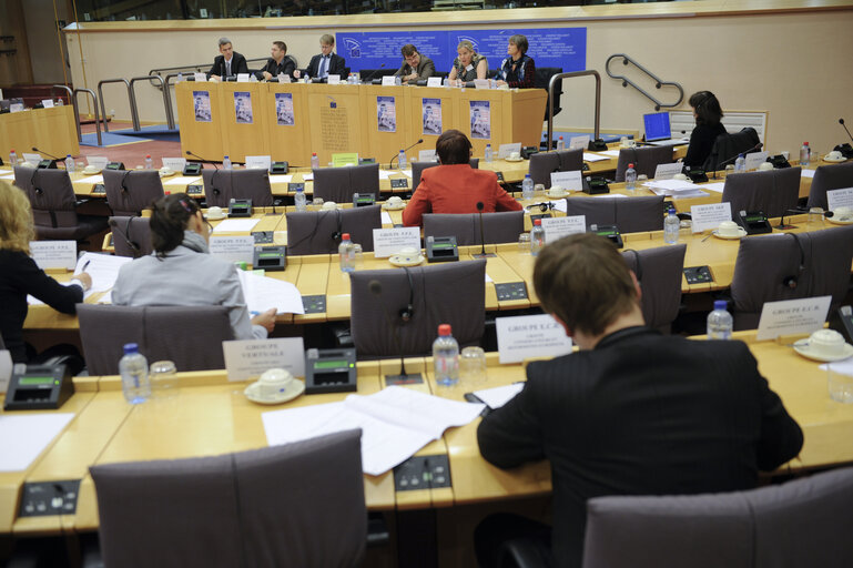 Photo 12 : Hearing of the Committee on Civil Liberties, Justice and Home Affairs on combating sexual abuse, sexual exploitation of children and child pornography.