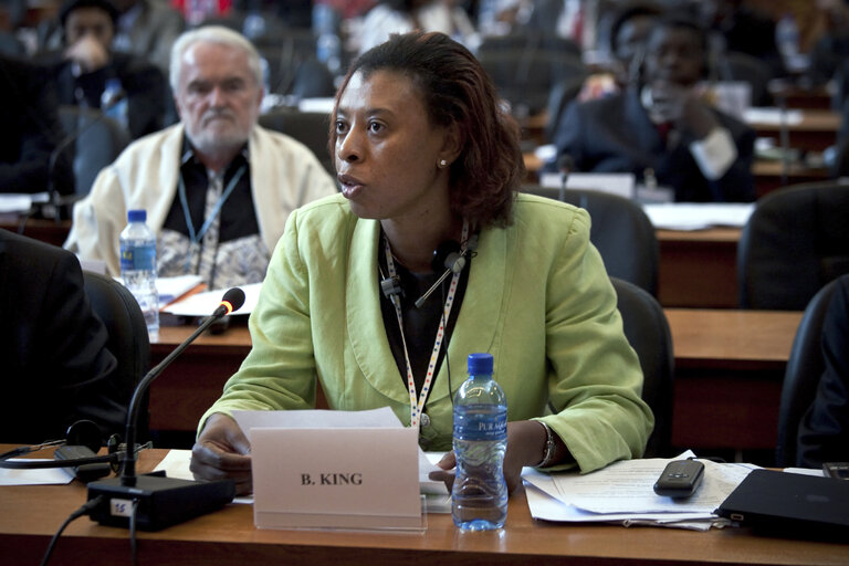 Φωτογραφία 1: Brenda King, Chair of ACP Committe, European Economic and Social Committe of the Comitee on Economic Development, Finance and Trade, qddresses to the 20th ACP-EU Joint Parliamentary Assembly in Kinshasa on December 3, 2010.