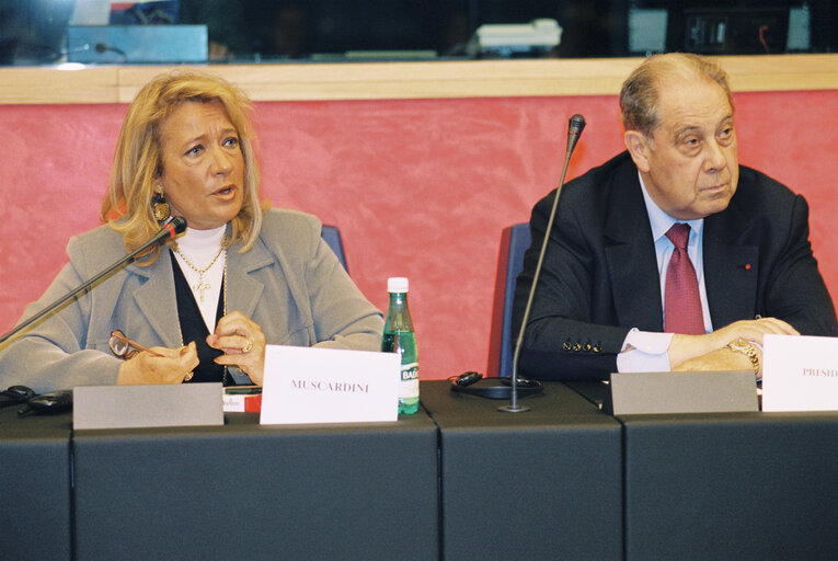 Foto 5: Meeting at the EP in Strasbourg