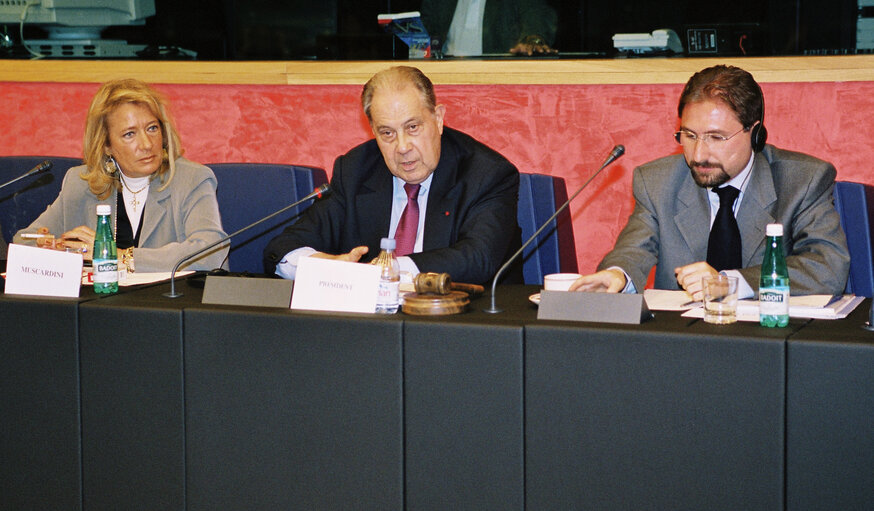 Meeting at the EP in Strasbourg