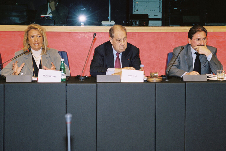 Fotografija 3: Meeting at the EP in Strasbourg