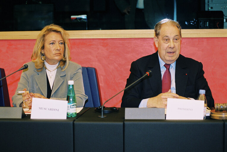 Meeting at the EP in Strasbourg