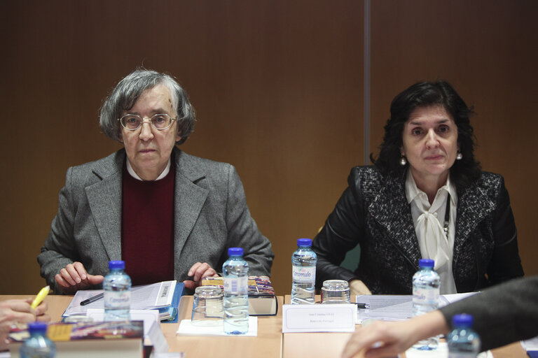 Visit of the Special Committee on the Financial, Economic and Social Crisis from the European Parliament to Portugal.  Members of the Committee meeting with the administrator of the Bank of Portugal, Teodora Cardoso at the European Parliament Office Jean Monnet in Lisbon on January 11, 2011.