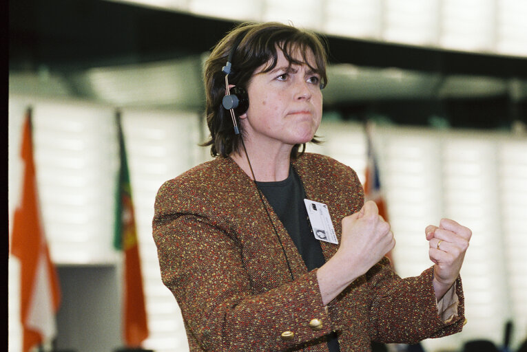 Signed language interpreter at work in the hemicycle in Strasbourg