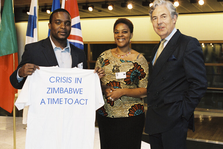 Fotografia 4: MEPs demonstration on the crisis in Zimbabwe