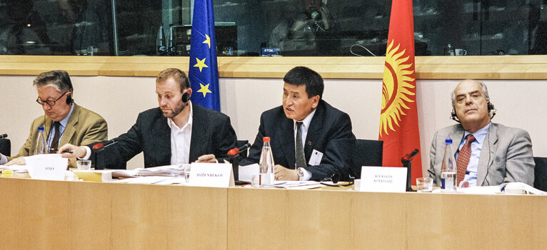 Foto 7: EU-Kyrgystan Meeting at the European Parliament in Brussels