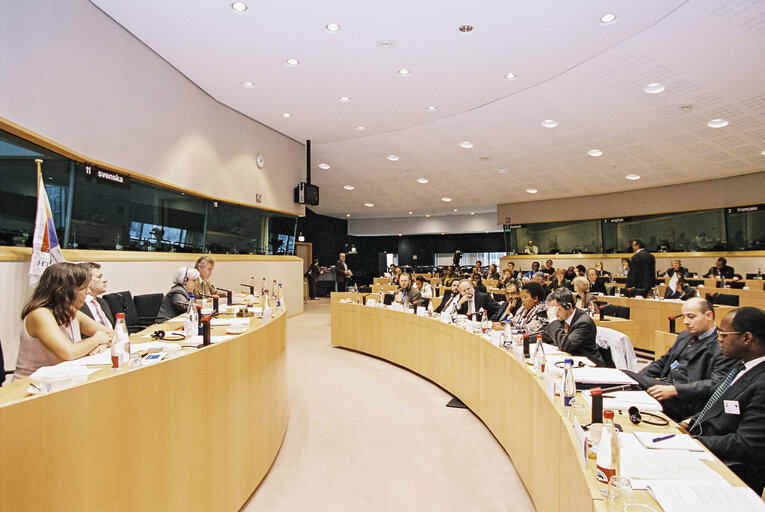 Fotografia 5: Seminar on Africa organized at the European Parliament in Brussels