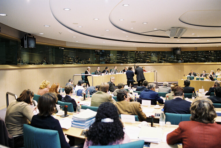 Foto 6: Committee on Fisheries - Discussion with Miguel ARIAS CANETE, Spanish Minister in charge