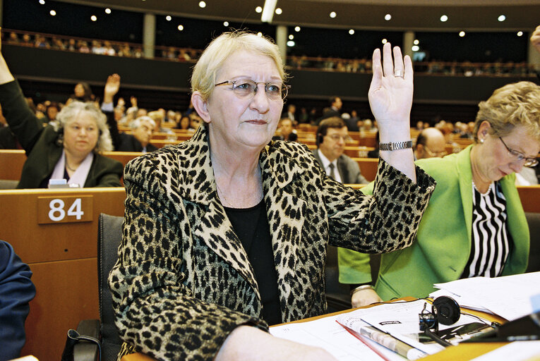 Foto 2: MEP Nelly MAES takes part in a plenary session in Brussels