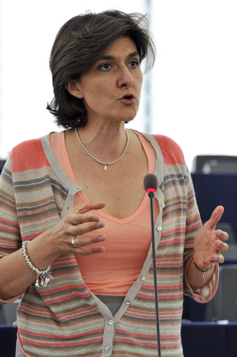 Sylvie GOULARD, Mep