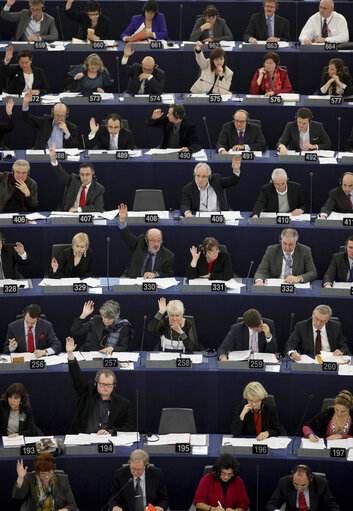 Foto 12: Hemicycle du Parlement