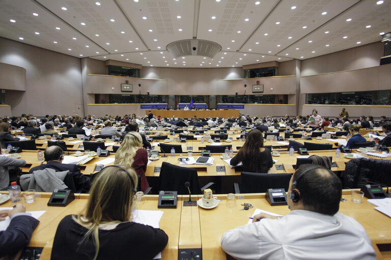 Foto 6: ITRE Joint Debate and votes