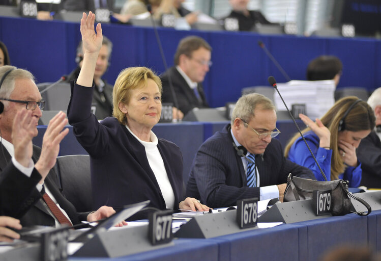 Foto 6: Mazej KUKOVIC Zofija in plenary during voting session