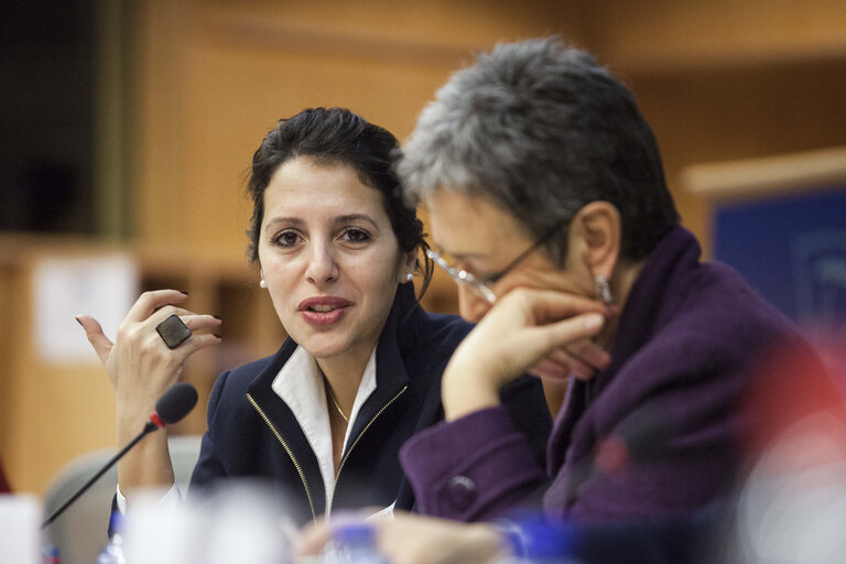 Fotografija 23: Gender Equality and Diversity in European Life for a more representative, equal and Democratic Europe