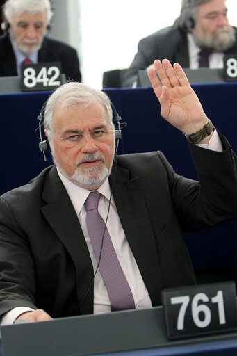 Fotografie 8: Konstantino POUPAKIS  during the vote in plenary