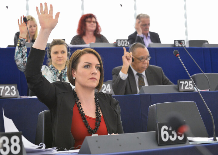 Photo 4 : Sandra PETROVIC JAKOVINA during a Plenary week 16 2014 in Strasbourg