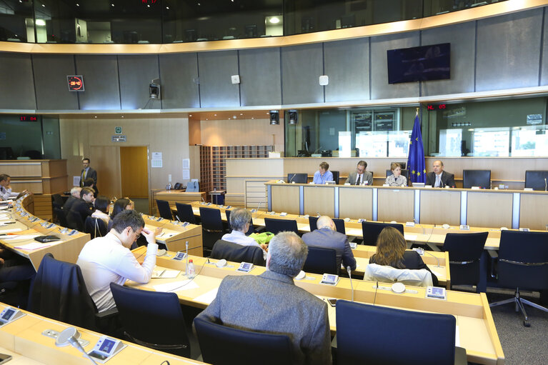 1st meeting of the EP working-group on cross-border cooperation ' Digital agenda in border areas '