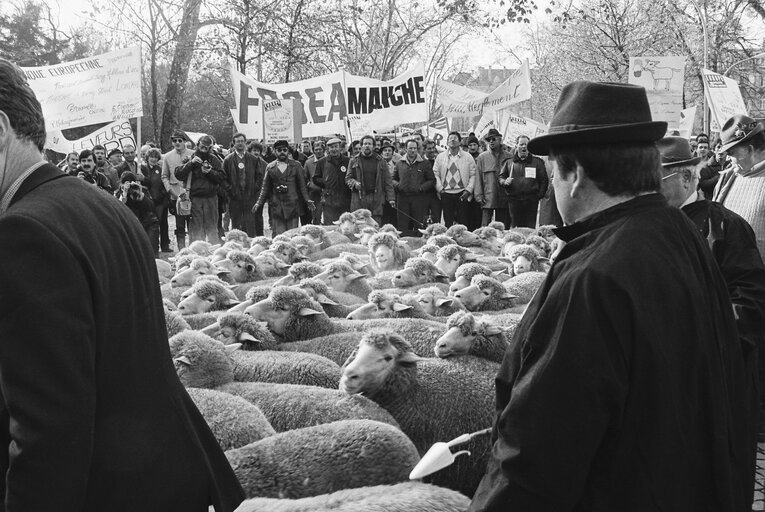 Shepherds and farmers protest outside the EP in Strasbourg in December 1985